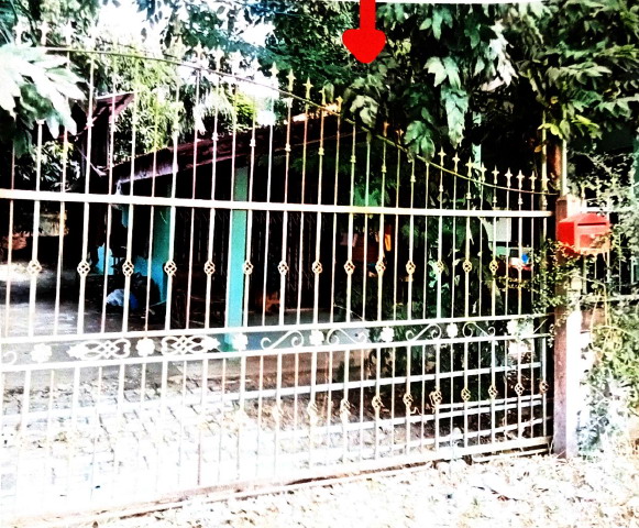 ขายทอดตลาด ที่ดินพร้อมสิ่งปลูกสร้าง ต.โนนกุง อ.ตระการพืชผล จ.อุบลราชธานี