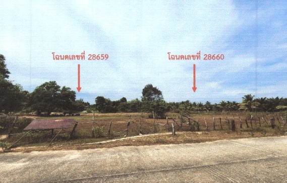 ขายทอดตลาด ที่ดินว่างเปล่า ต.หนองแสงใหญ่ อ.โขงเจียม จ.อุบลราชธานี