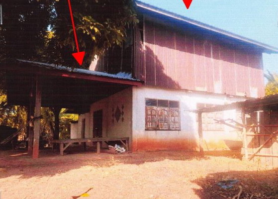 ขายทอดตลาด ที่ดินพร้อมสิ่งปลูกสร้าง ต.จำปี อ.ศรีธาตุ จ.อุดรธานี