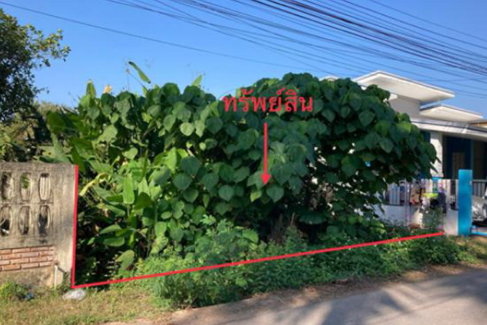 ขายทอดตลาด ที่ดินว่างเปล่า ต.มะขามเตี้ย อ.เมืองสุราษฎร์ธานี จ.สุราษฎร์ธานี