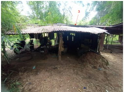 ขายทอดตลาด ที่ดินพร้อมสิ่งปลูกสร้าง ต.ดอนจิก อ.พิบูลมังสาหาร จ.อุบลราชธานี