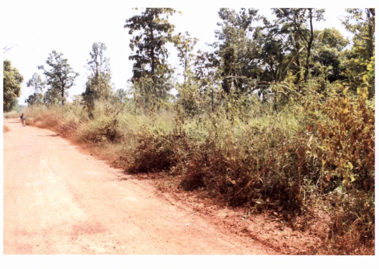 ขายทอดตลาด ที่ดินว่างเปล่า ต.สามพร้าว อ.เมือง จ.อุดรธานี