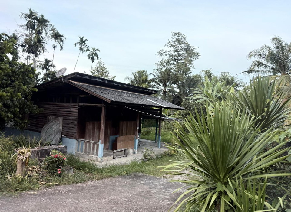 ขายทอดตลาด ที่ดินพร้อมสิ่งปลูกสร้าง ต.บางงอน อ.พุนพิน จ.สุราษฎร์ธานี