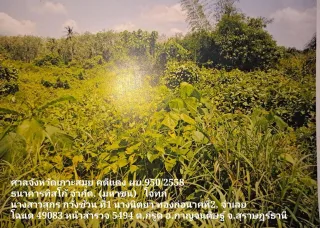 รูปทรัพย์ 2