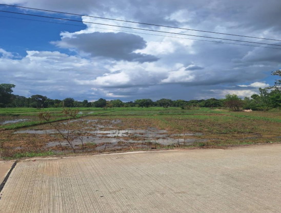 ขายทอดตลาด ที่ดินว่างเปล่า ต.สร้างถ่อ อ.เขื่องใน จ.อุบลราชธานี