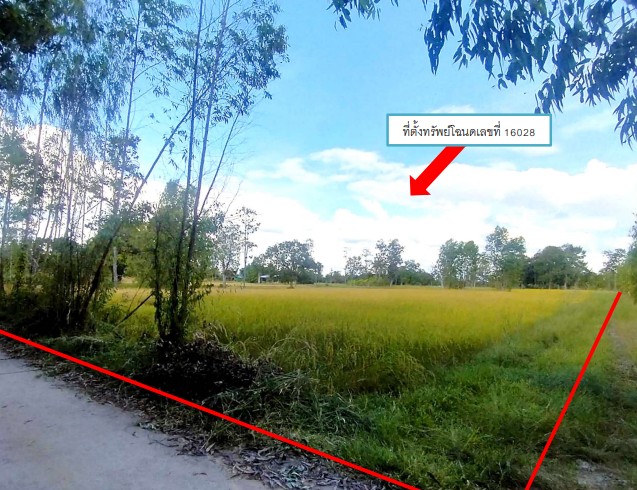 ขายทอดตลาด ที่ดินว่างเปล่า ต.โนนกลาง อ.สำโรง จ.อุบลราชธานี