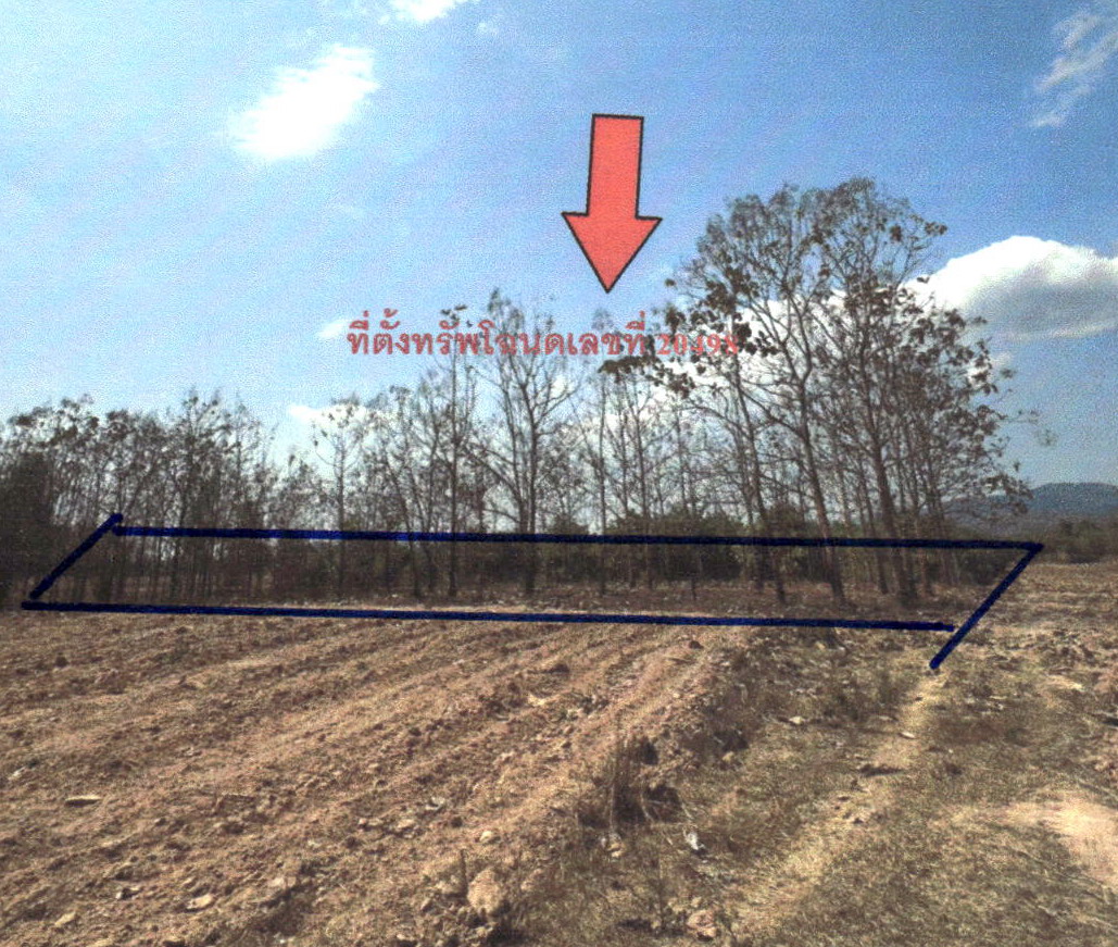 ขายทอดตลาด ที่ดินว่างเปล่า ต.บ้านฝาย อ.น้ำปาด จ.อุตรดิตถ์