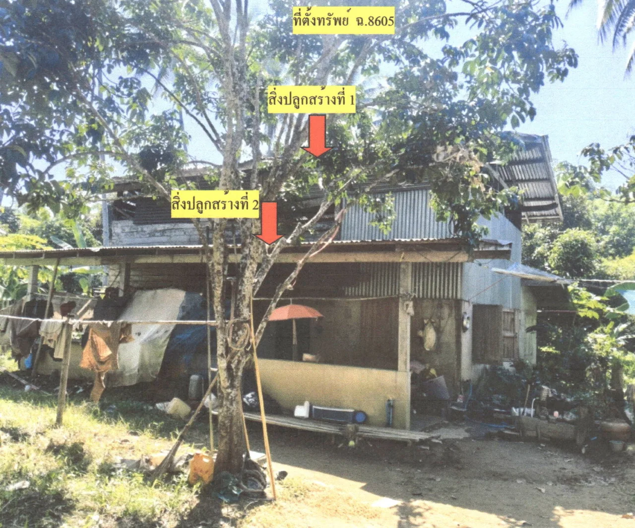 ขายทอดตลาด ที่ดินพร้อมสิ่งปลูกสร้าง ต.แม่พูล อ.ลับแล จ.อุตรดิตถ์