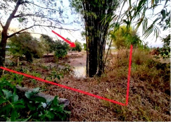 ขายทอดตลาด ที่ดินว่างเปล่า ต.พังงู อ.หนองหาน จ.อุดรธานี