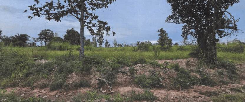 ขายทอดตลาด ที่ดินว่างเปล่า ต.คำไหล อ.ศรีเมืองใหม่ จ.อุบลราชธานี