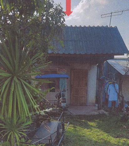 ขายทอดตลาด ที่ดินพร้อมสิ่งปลูกสร้าง ต.กระบี่น้อย อ.เมืองกระบี่ จ.กระบี่