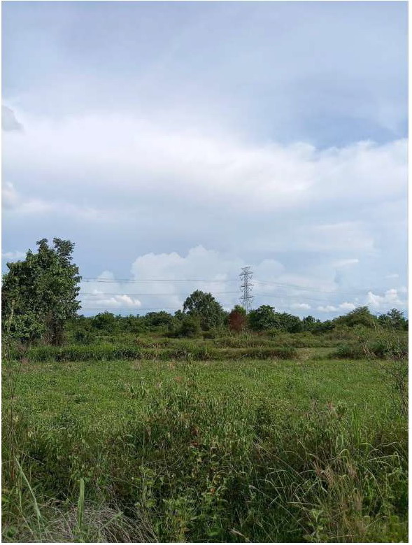 ขายทอดตลาด ที่ดินว่างเปล่า ต.หนองไผ่ อ.เมือง จ.อุดรธานี