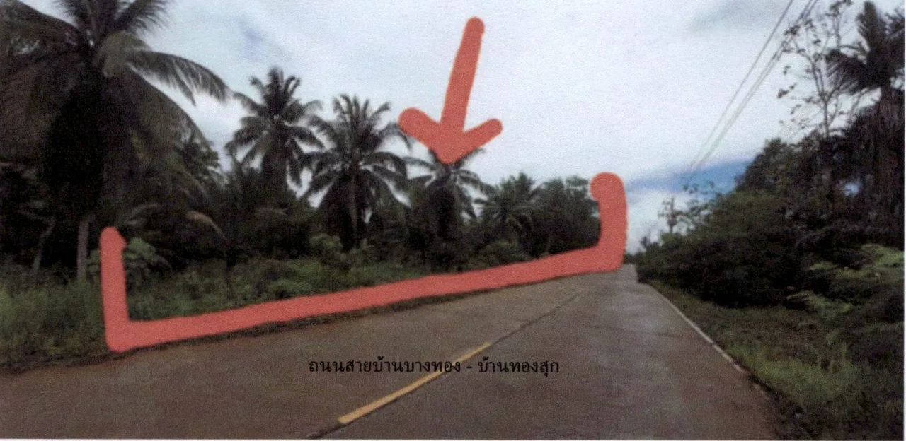 ขายทอดตลาด ที่ดินว่างเปล่า ต.ลีเล็ด อ.พุนพิน จ.สุราษฎร์ธานี