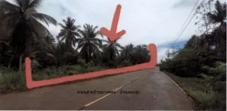 รูปทรัพย์ 1