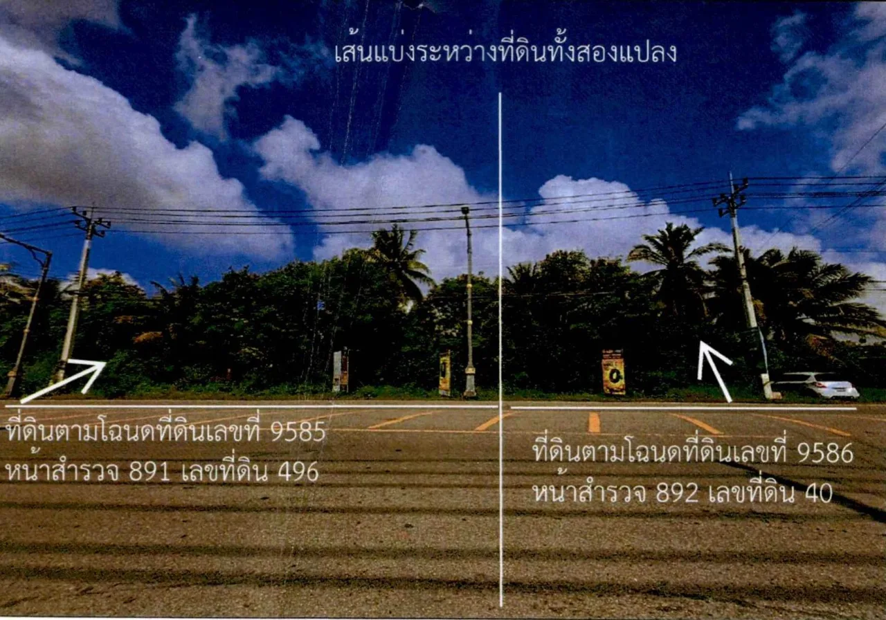 ขายทอดตลาด ที่ดินว่างเปล่า ต.บางกุ้ง อ.เมืองสุราษฎร์ธานี จ.สุราษฎร์ธานี