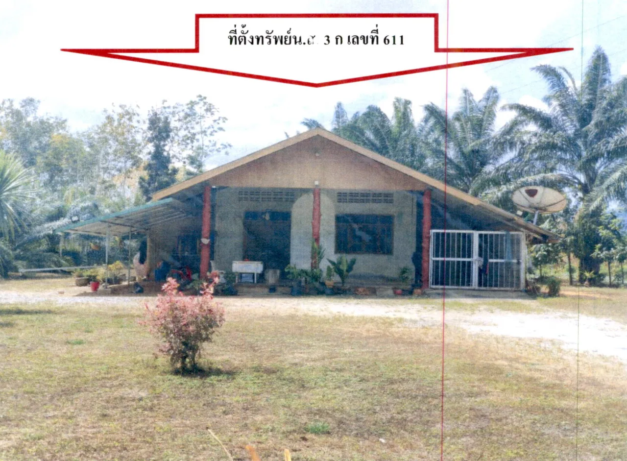 ขายทอดตลาด ที่ดินพร้อมสิ่งปลูกสร้าง ต.พังกาญจน์ อ.พนม จ.สุราษฎร์ธานี