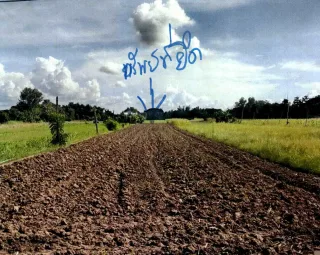 รูปทรัพย์ 3