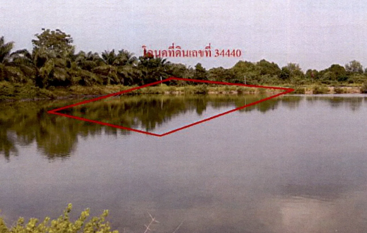 ขายทอดตลาด ที่ดินว่างเปล่า ต.พลายวาส อ.กาญจนดิษฐ์ จ.สุราษฎร์ธานี