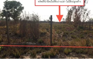 รูปทรัพย์ 1