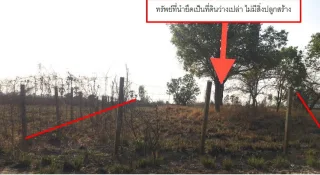 รูปทรัพย์ 2