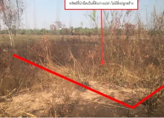 รูปทรัพย์ 3