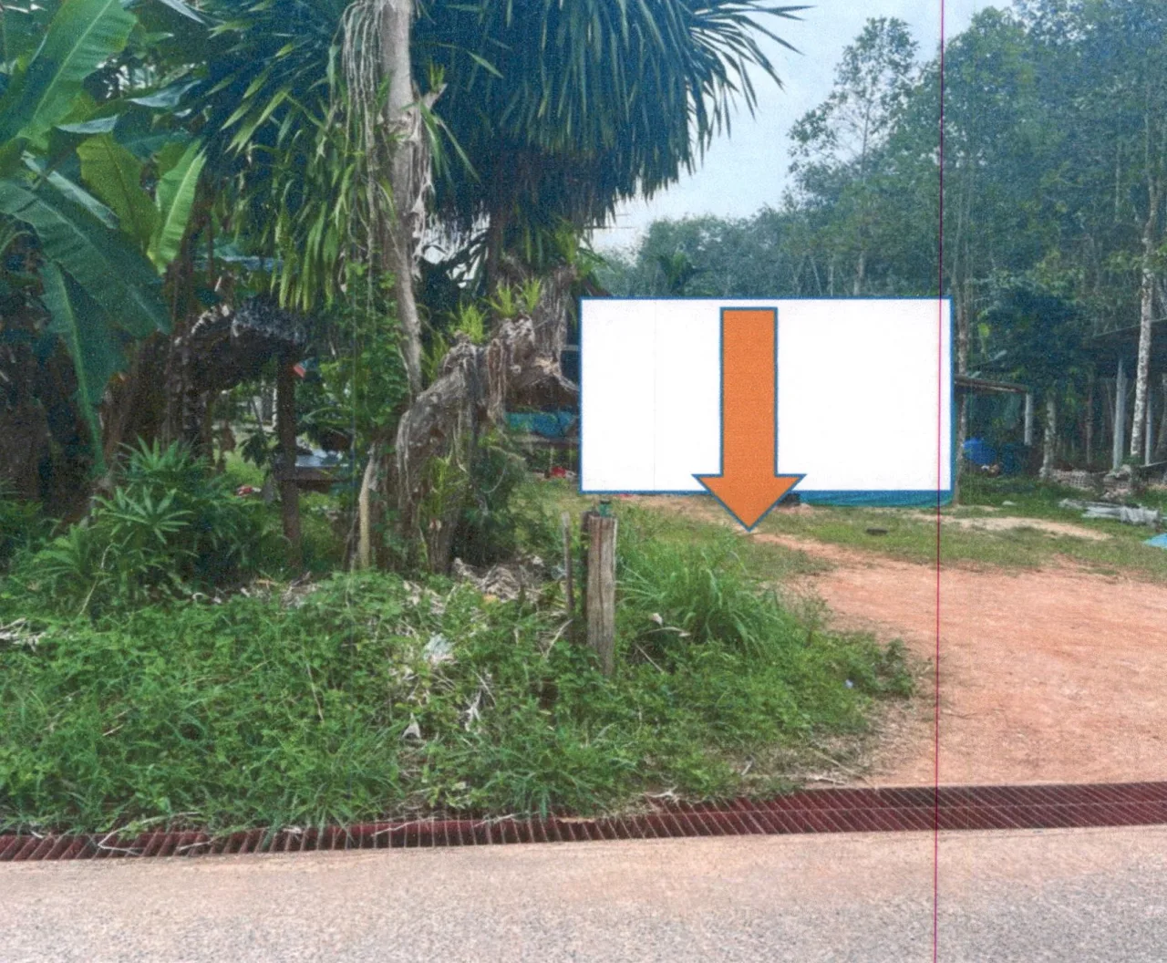 ขายทอดตลาด ที่ดินว่างเปล่า ต.บางมะเดื่อ อ.พุนพิน จ.สุราษฎร์ธานี