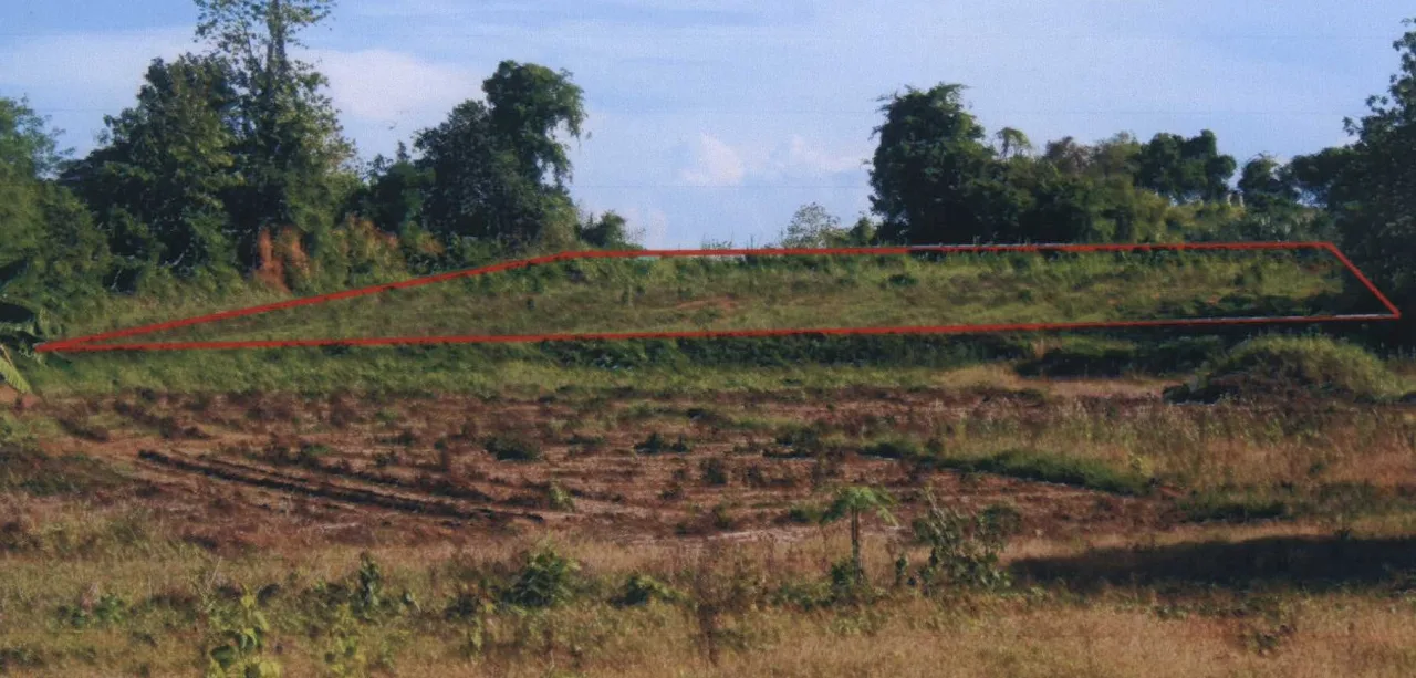 ขายทอดตลาด ที่ดินว่างเปล่า ต.ฝายหลวง อ.ลับแล จ.อุตรดิตถ์