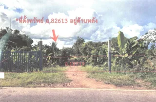 รูปทรัพย์ 2