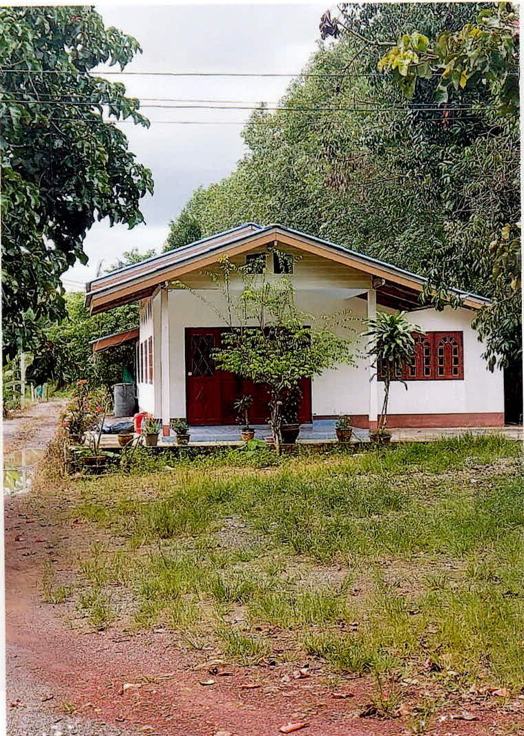 ขายทอดตลาด ที่ดินพร้อมสิ่งปลูกสร้าง ต.วัดประดู่ อ.เมืองสุราษฎร์ธานี จ.สุราษฎร์ธานี