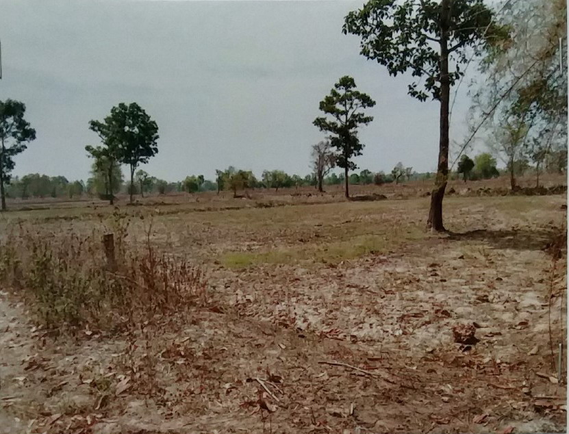 ขายทอดตลาด ที่ดินว่างเปล่า ต.เตาไห อ.เพ็ญ จ.อุดรธานี