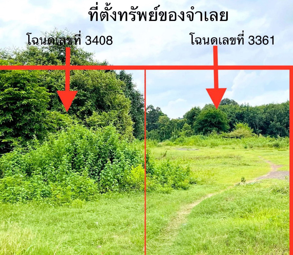 ขายทอดตลาด ที่ดินว่างเปล่า จ.นครศรีธรรมราช
