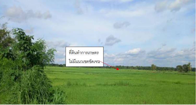 ขายทอดตลาด ที่ดินว่างเปล่า ต.แสงสว่าง อ.หนองแสง จ.อุดรธานี
