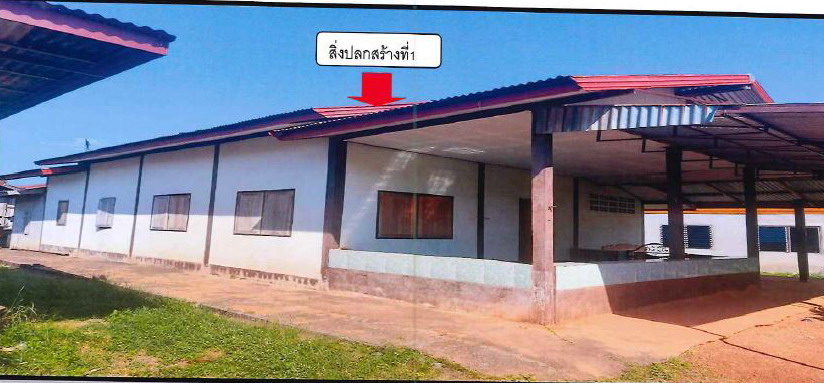 ขายทอดตลาด ที่ดินพร้อมสิ่งปลูกสร้าง ต.บ้านธาตุ อ.เพ็ญ จ.อุดรธานี
