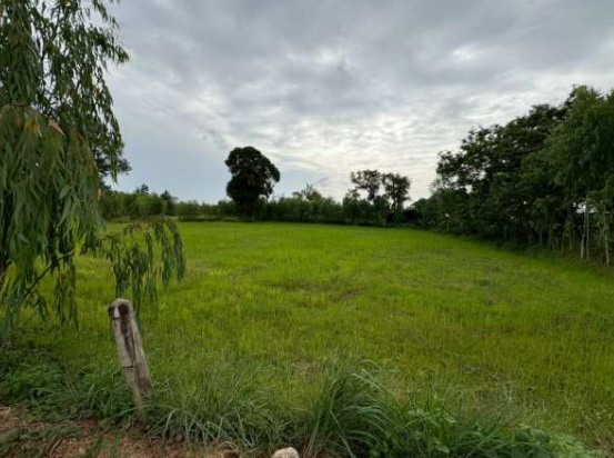 ขายทอดตลาด ที่ดินว่างเปล่า ต.หนองเหล่า อ.ม่วงสามสิบ จ.อุบลราชธานี