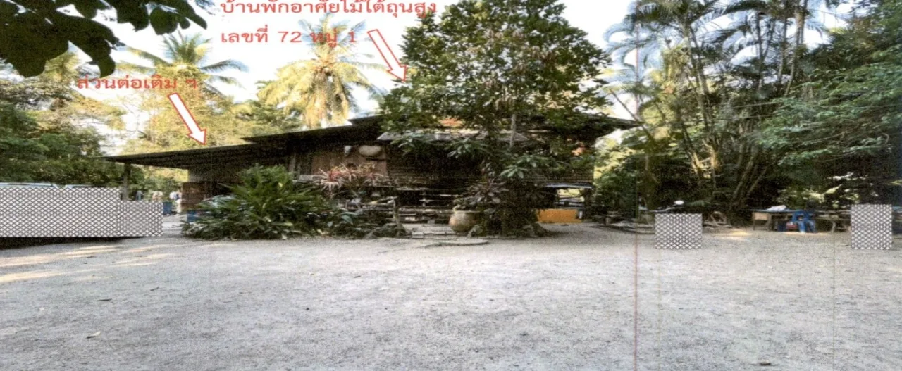 ขายทอดตลาด ที่ดินพร้อมสิ่งปลูกสร้าง ต.พุนพิน อ.พุนพิน จ.สุราษฎร์ธานี