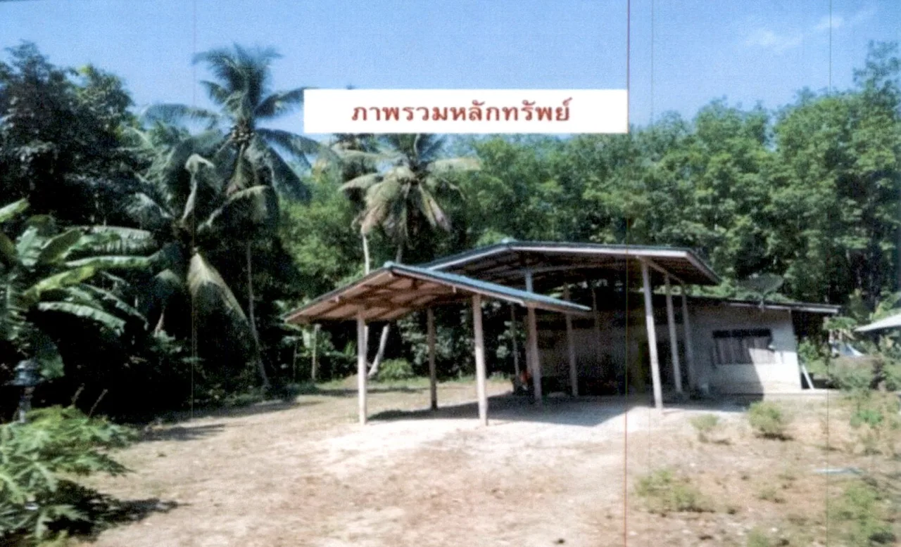ขายทอดตลาด ที่ดินพร้อมสิ่งปลูกสร้าง ต.บางเดือน อ.พุนพิน จ.สุราษฎร์ธานี