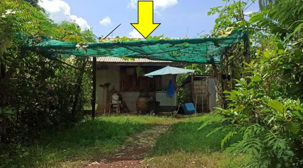 ขายทอดตลาด ที่ดินพร้อมสิ่งปลูกสร้าง ต.วังทอง อ.บ้านดุง จ.อุดรธานี