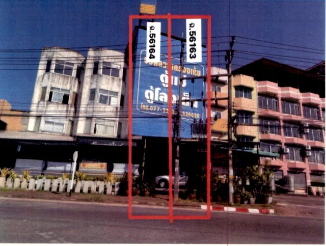 ขายทอดตลาด ที่ดินพร้อมสิ่งปลูกสร้าง ต.มะขามเตี้ย อ.เมืองสุราษฎร์ธานี จ.สุราษฎร์ธานี