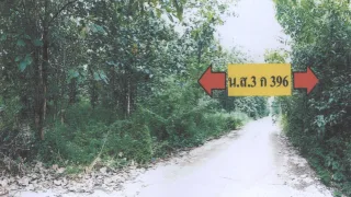 รูปทรัพย์ 2