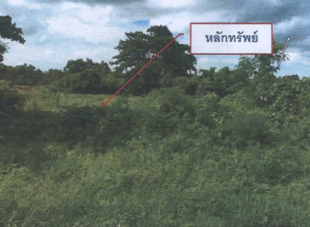 ขายทอดตลาด ที่ดินว่างเปล่า ต.บางกุ้ง อ.เมืองสุราษฎร์ธานี จ.สุราษฎร์ธานี