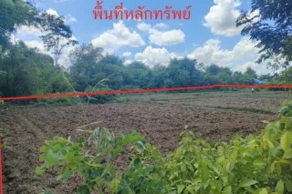 รูปทรัพย์ 2