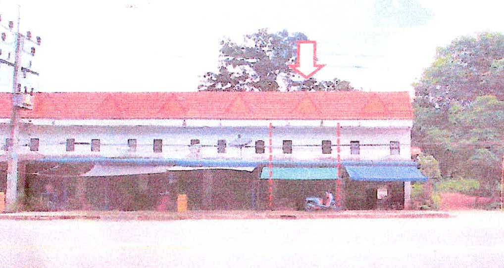 ขายทอดตลาด ที่ดินพร้อมสิ่งปลูกสร้าง ต.พะแสง อ.บ้านตาขุน จ.สุราษฎร์ธานี