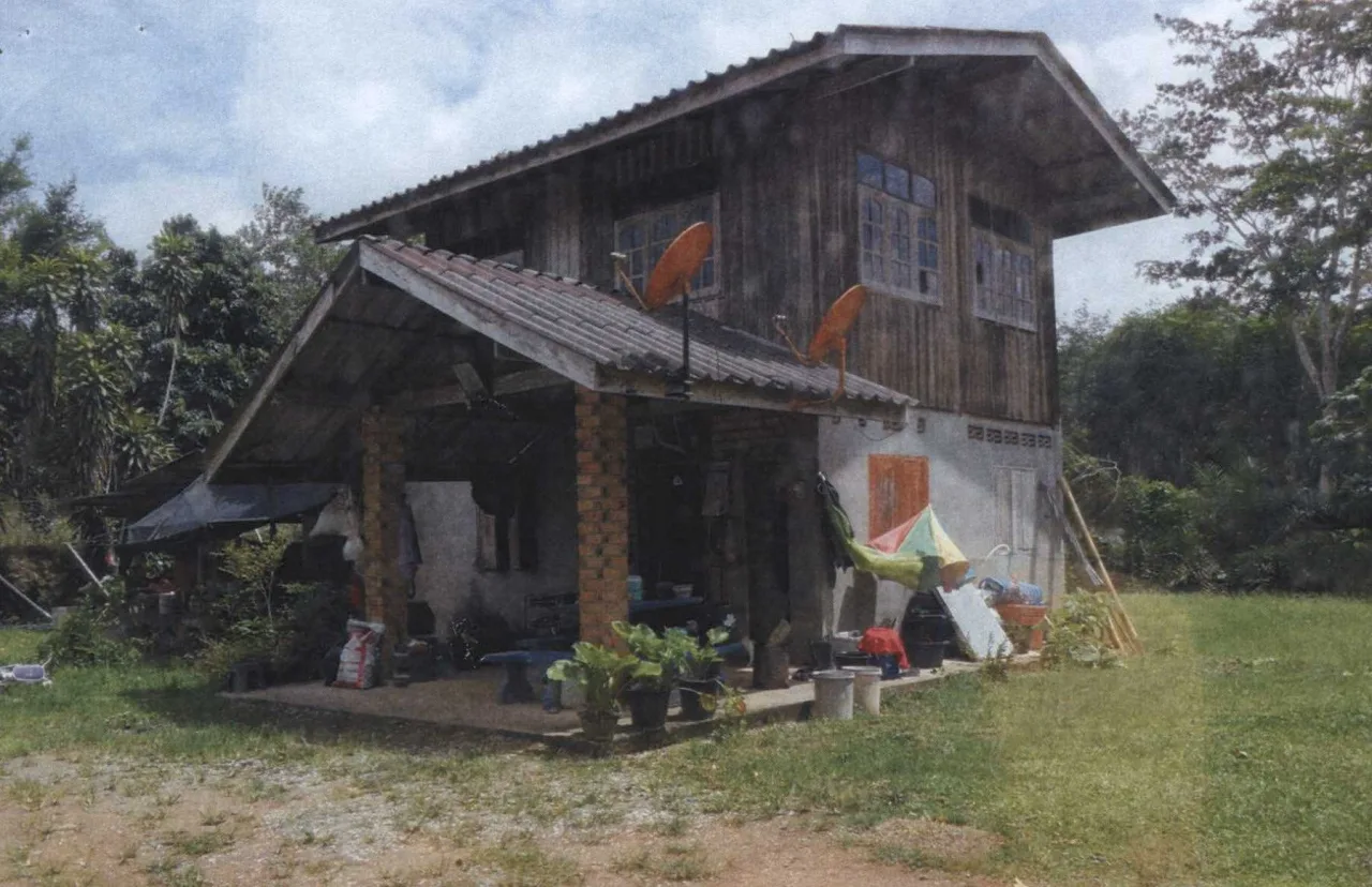 ขายทอดตลาด ที่ดินพร้อมสิ่งปลูกสร้าง ต.พรุไทย อ.บ้านตาขุน จ.สุราษฎร์ธานี