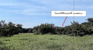 รูปทรัพย์ 2