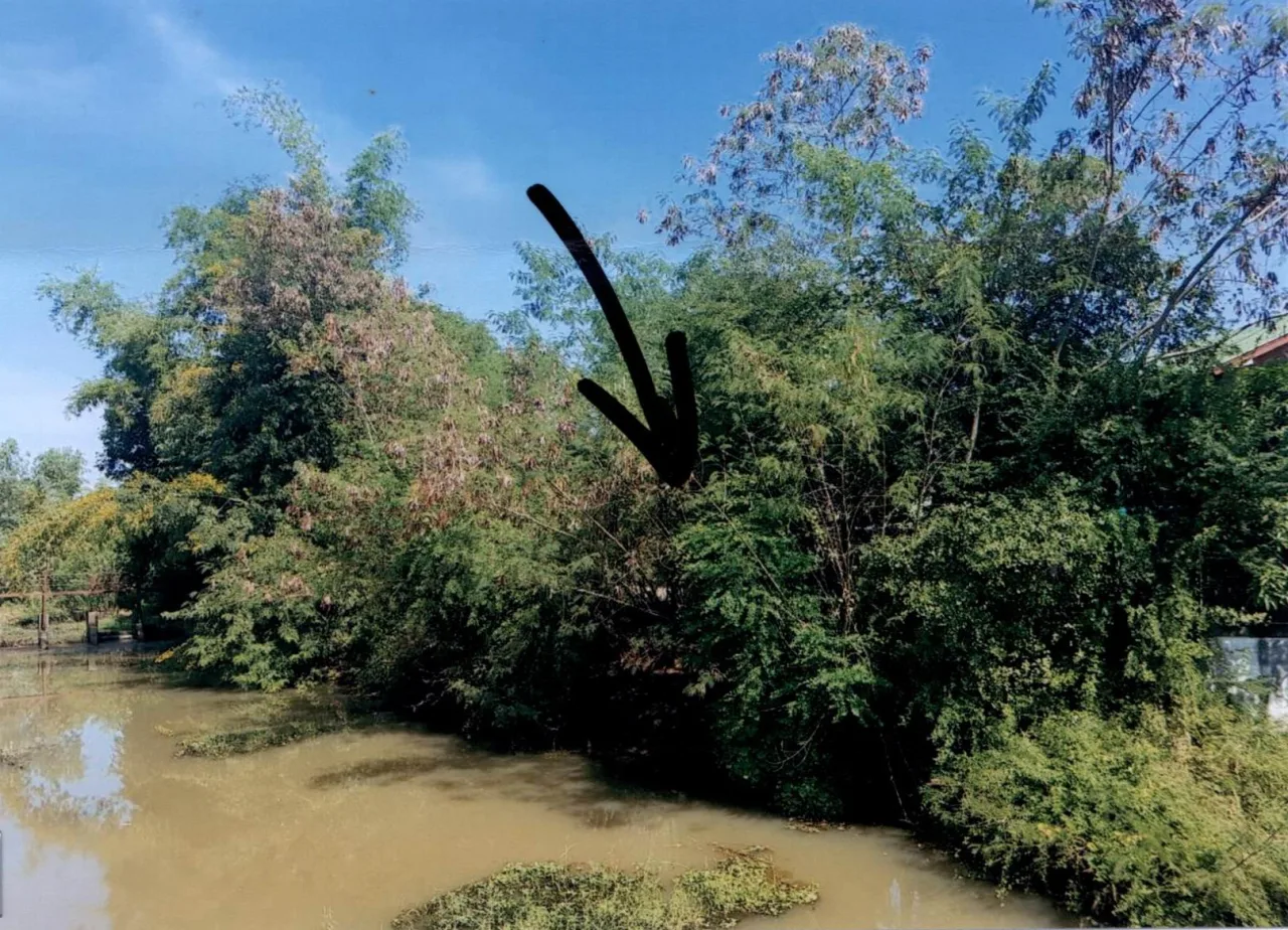ขายทอดตลาด ที่ดินว่างเปล่า ต.เชียงแหว อ.กุมภวาปี จ.อุดรธานี