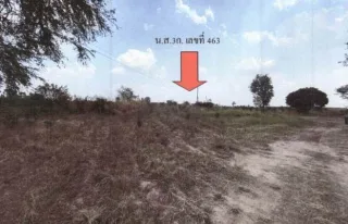 รูปทรัพย์ 2