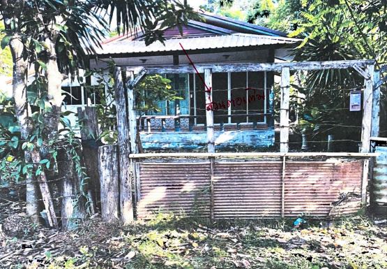 ขายทอดตลาด ที่ดินพร้อมสิ่งปลูกสร้าง ต.บ้านธาตุ อ.เพ็ญ จ.อุดรธานี
