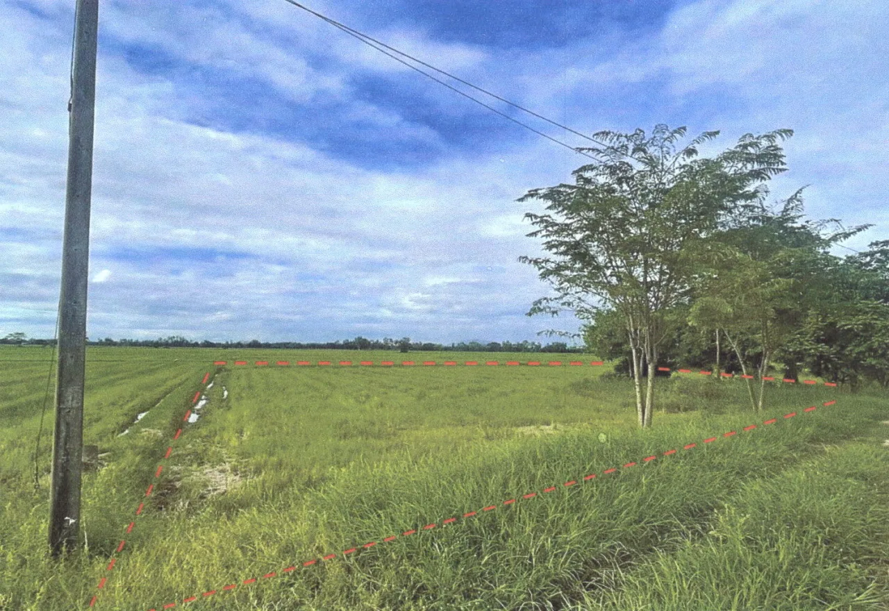 ขายทอดตลาด ที่ดินว่างเปล่า ต.บ้านหม้อ อ.พิชัย จ.อุตรดิตถ์