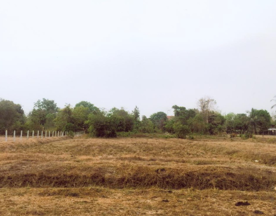 ขายทอดตลาด ที่ดินว่างเปล่า ต.ขามใหญ่ อ.เมืองอุบลราชธานี จ.อุบลราชธานี