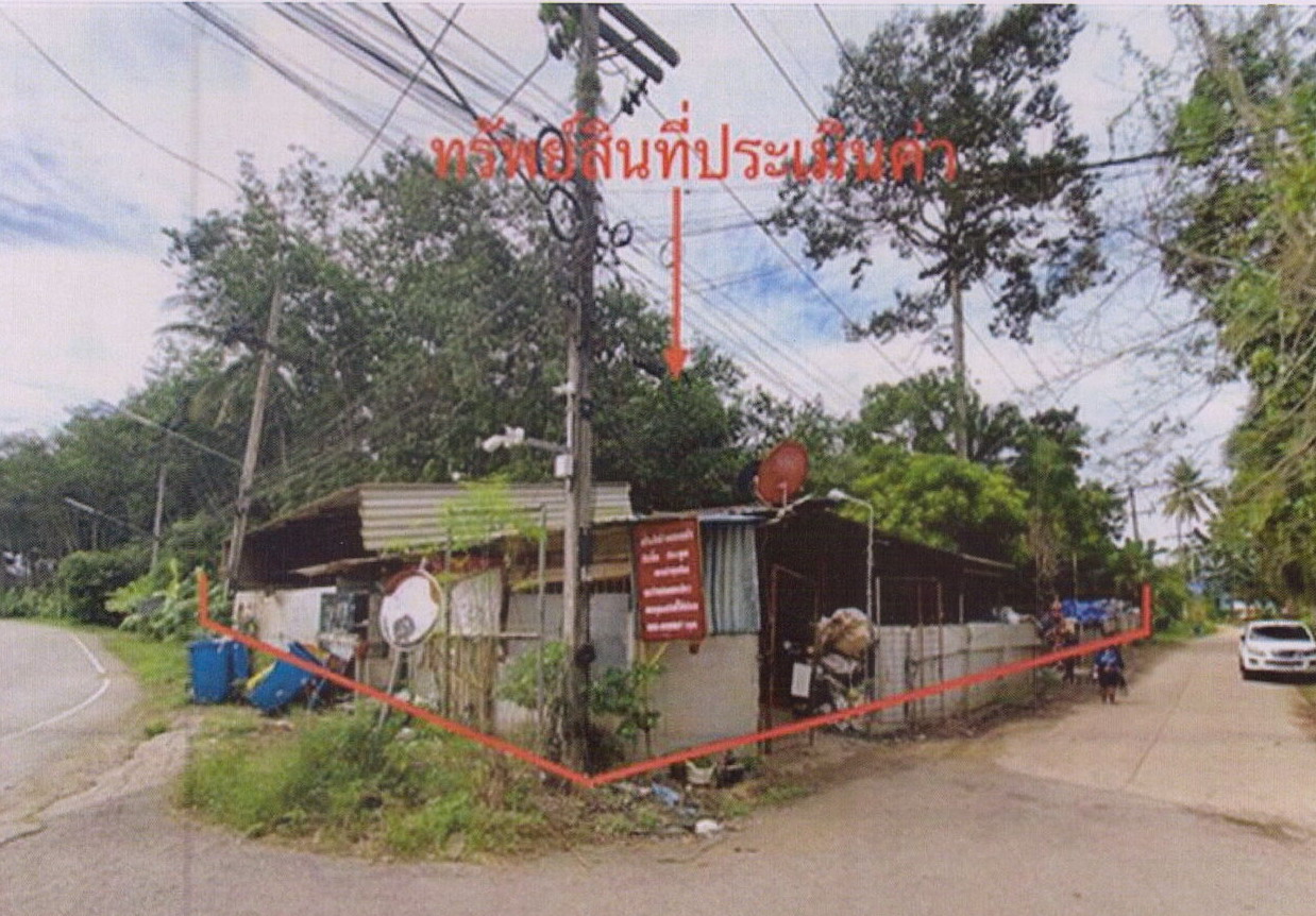 ขายทอดตลาด ที่ดินพร้อมสิ่งปลูกสร้าง ต.ท่าข้าม อ.พุนพิน จ.สุราษฎร์ธานี
